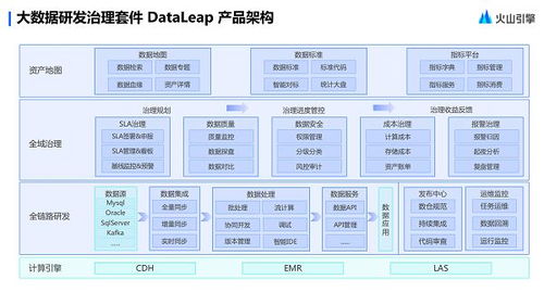 火山引擎DataLeap 一站式數據治理平臺，以“輕松管數”賦能企業數字化升級