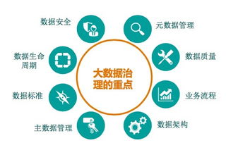 沼澤里的掘金術 大數據時代的數據資產管理五星模型與數據處理服務